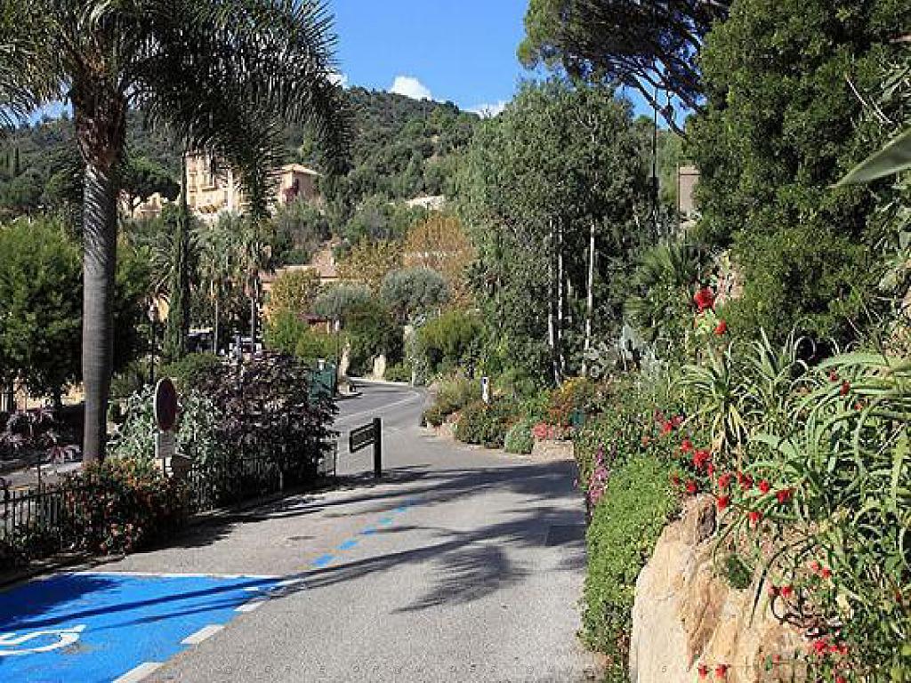 183 D36 LE LAVANDOU_000023.jpg